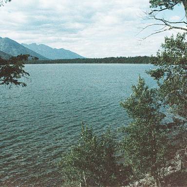 tonilora