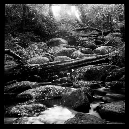 Pinhole Landscapes with Martyn Hearson and the Diana F+