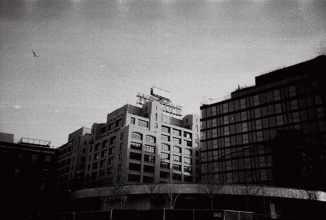 Photo credits: Lomography USA