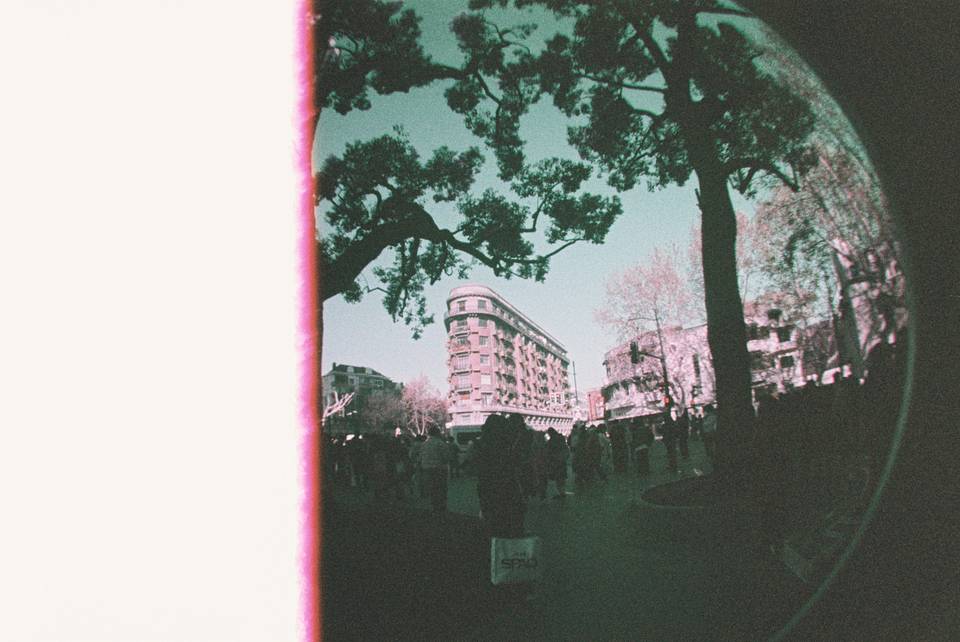 © 唐语婷 | 使用 Fisheye No.2 135 第二代鱼眼胶片相机－葡萄酱特别版 &amp; LomoChrome Purple ISO 100–400 135 紫调负片－ Pétillant 汽泡特別版拍摄