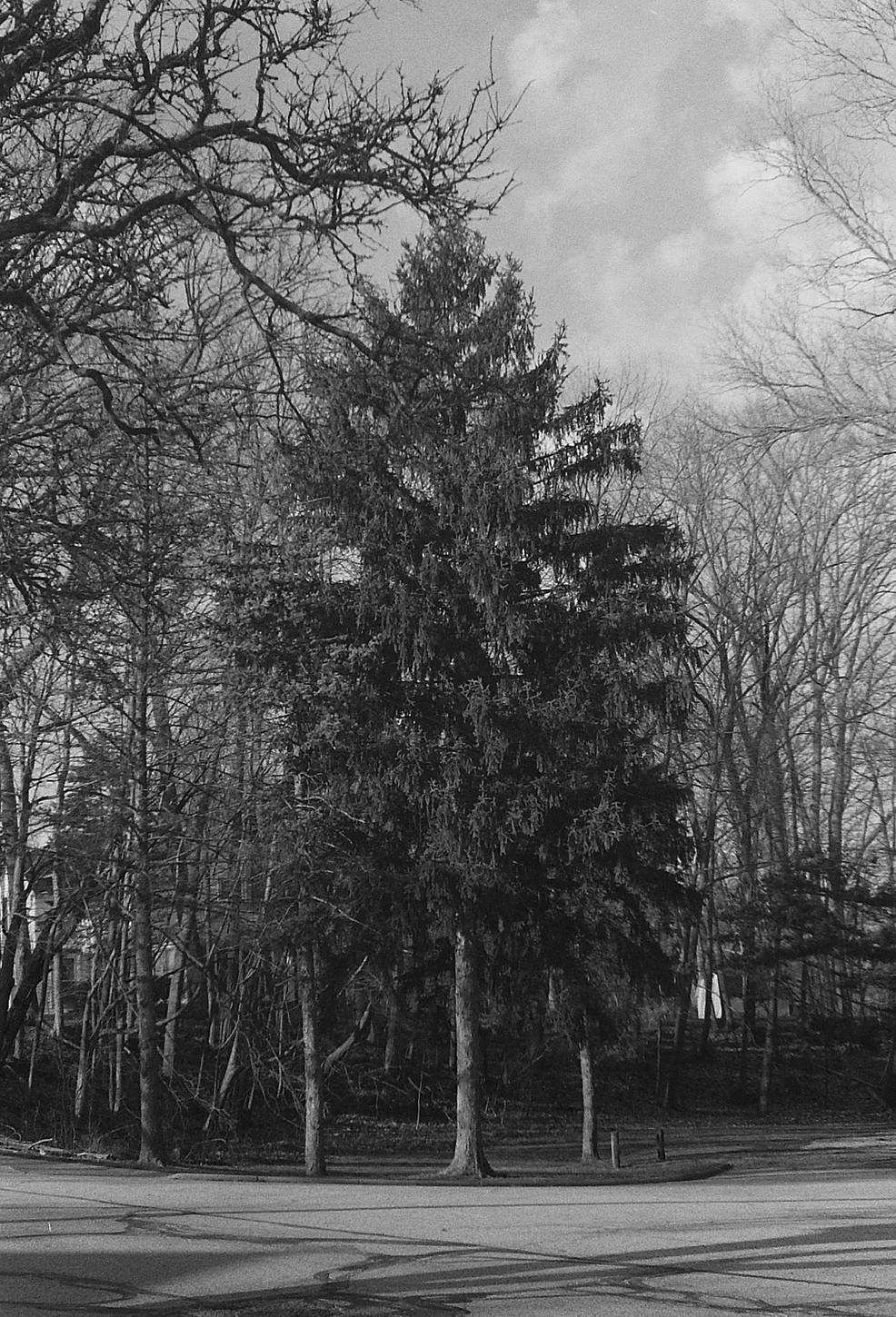 Photos by: cjf, gmbernsteing