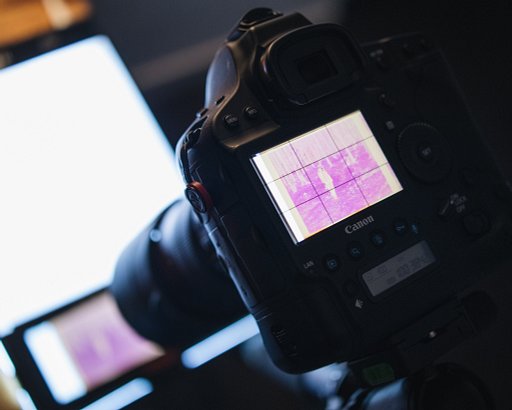 5+1: Benjamin Arias e i suoi Trucchi per Digitalizzare i Negativi con la Mascherina Digitaliza e una fotocamera DSLR