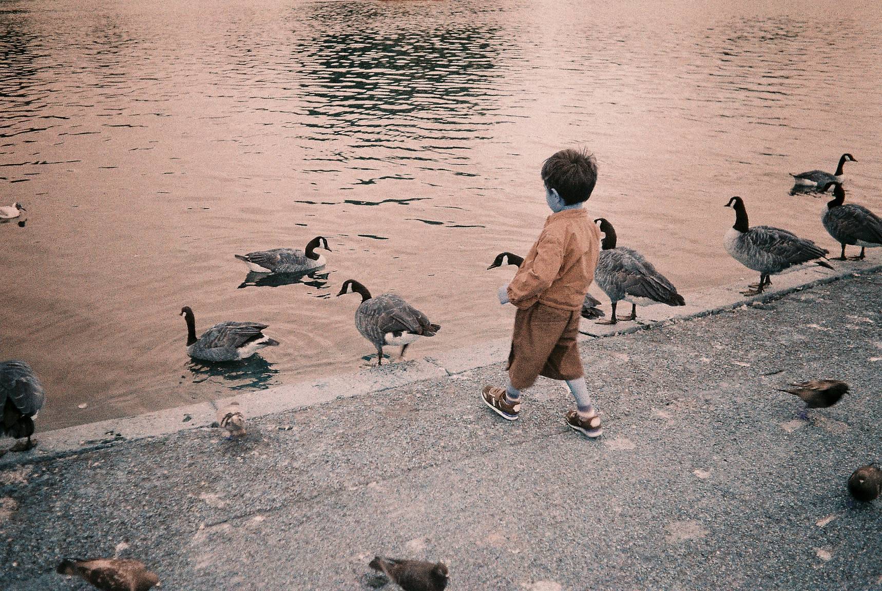 Photos by Edwin Chau and Lucia Tarozzo | Lomo MC-A 135 全自动随拍胶片相机
