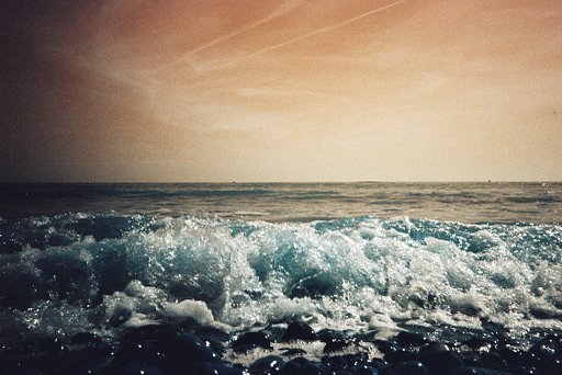 This Week on Lomography