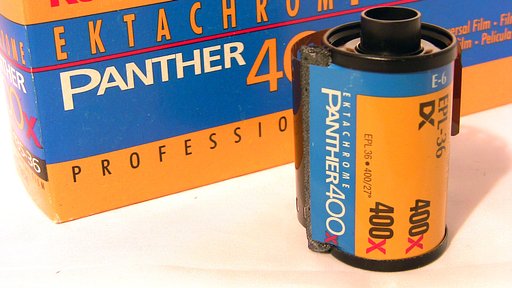 Kodak Ektachrome Panther 400  (35 mm) – Release the Panther