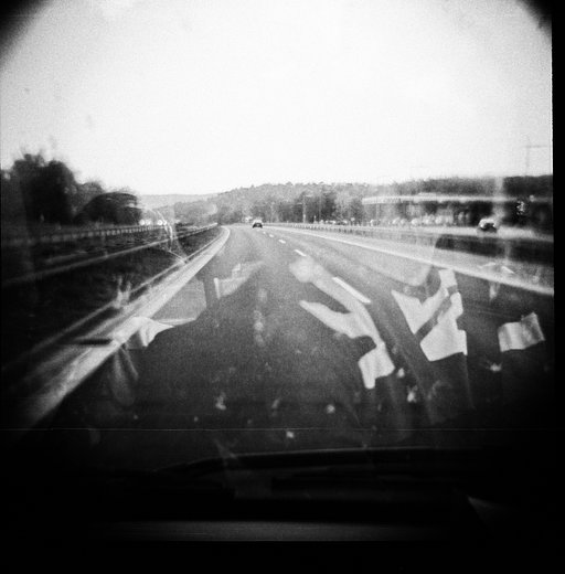 Diana F+ Amigos Mono & Nikitaman