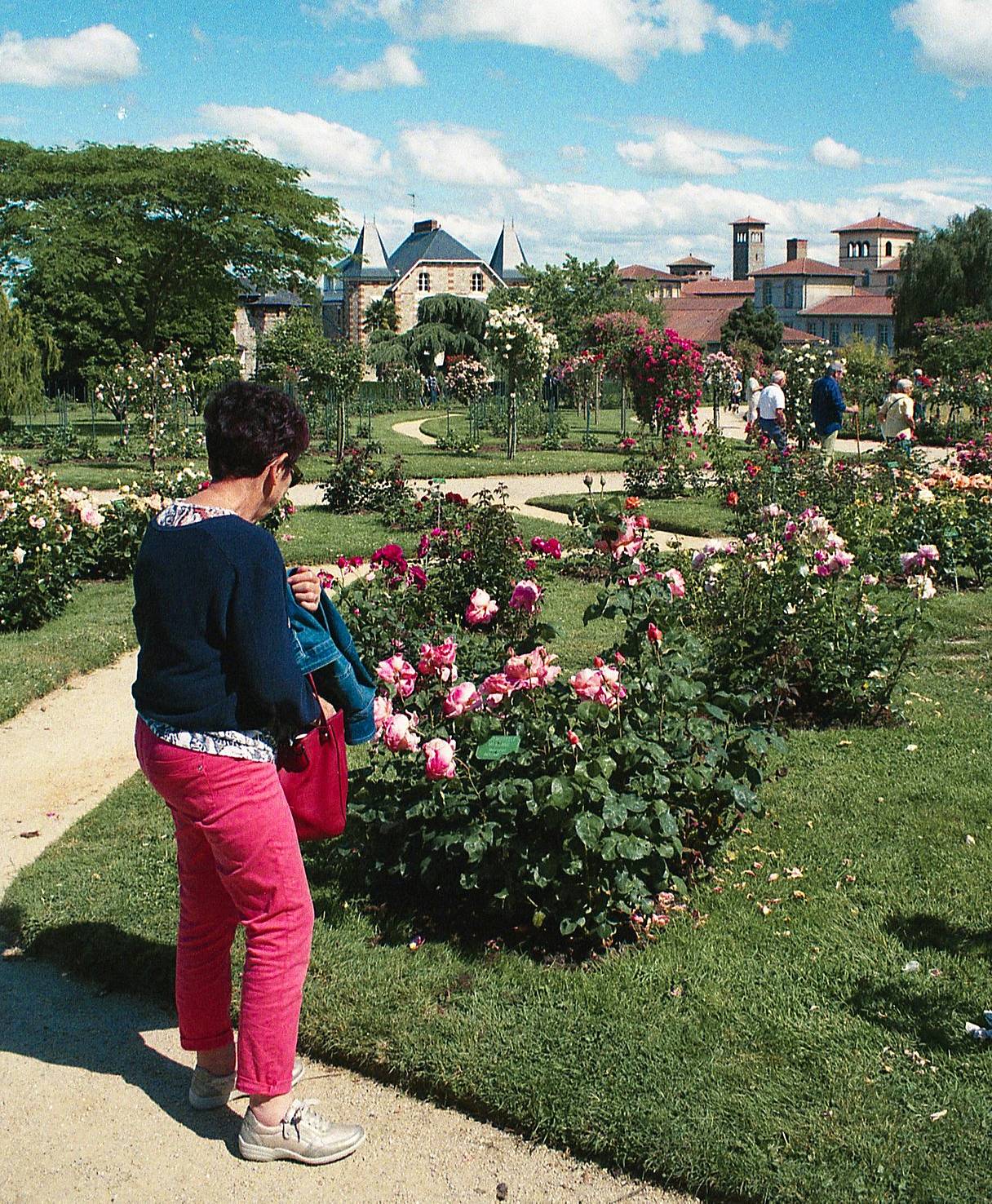 融法式古典园林与英式风景花园于一身的 他泊花园（Parc du Thabor） ，为城市中心带来一抹清新气息。这里曾是修道院的私家花园，如今已成为深受喜爱的公共公园，园内还设有植物园和玫瑰园。不妨带上 Daguerreotype Achromat 柔焦镜头，用层层叠叠的绿意做框架，捕捉那种柔美如画的散景效果。(Photo by the_big_meowski )