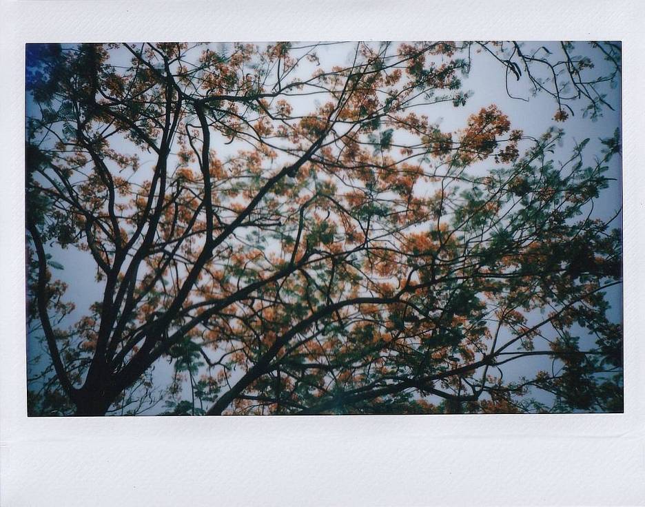 © Warangkana Sangsawa | Lomo'Instant Wide Glass 宽幅玻璃镜头拍立得相机