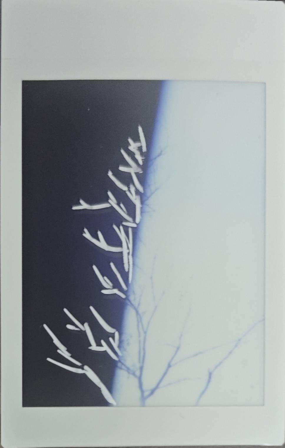 使用 Lomo'Instant Automat 自动拍立得相机 拍摄