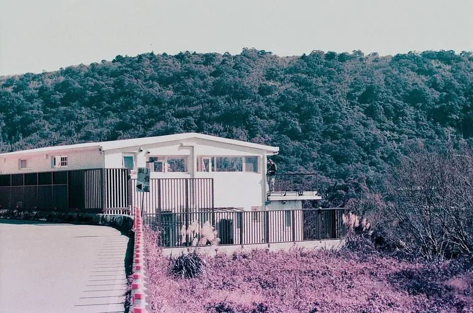 ©Shawnlin | 镜头：Petzval 匹兹伐 80.5 艺术镜头｜胶卷：LomoChrome Purple 紫调胶卷