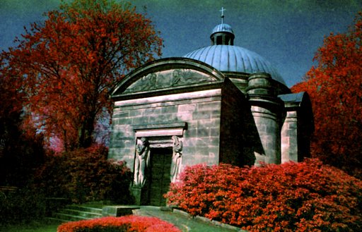 The Kodak Ektachrome IE: The Ancestor of the Kodak Aerochrome EIR