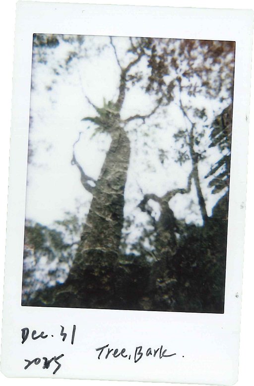 【Lomo'Instant Automat 拍立得相機】攝影師 Lucy 從大自然汲取養分 形塑獨特的人像攝影美學