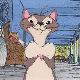 awkwardmongoose