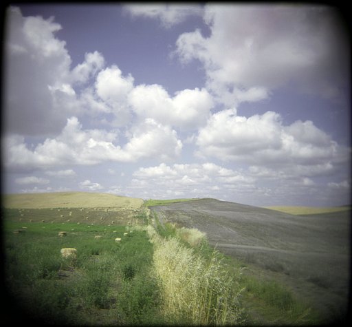Landscape Photography With A Holga