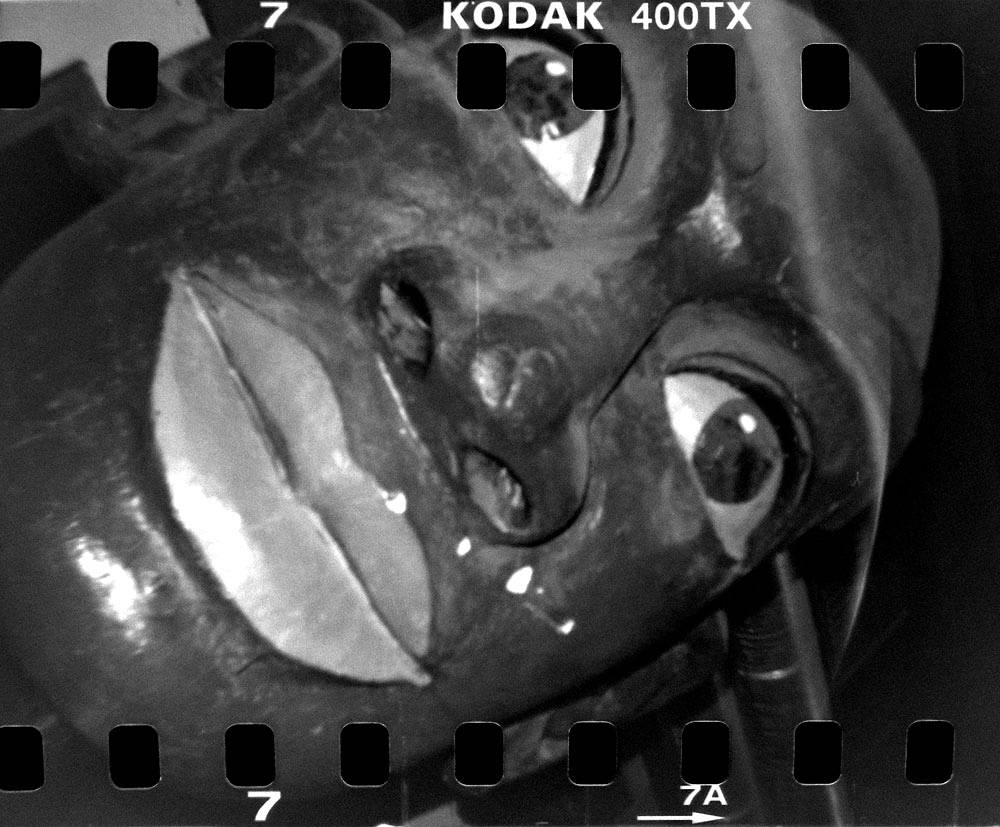 Kodak 400TX · Lomography