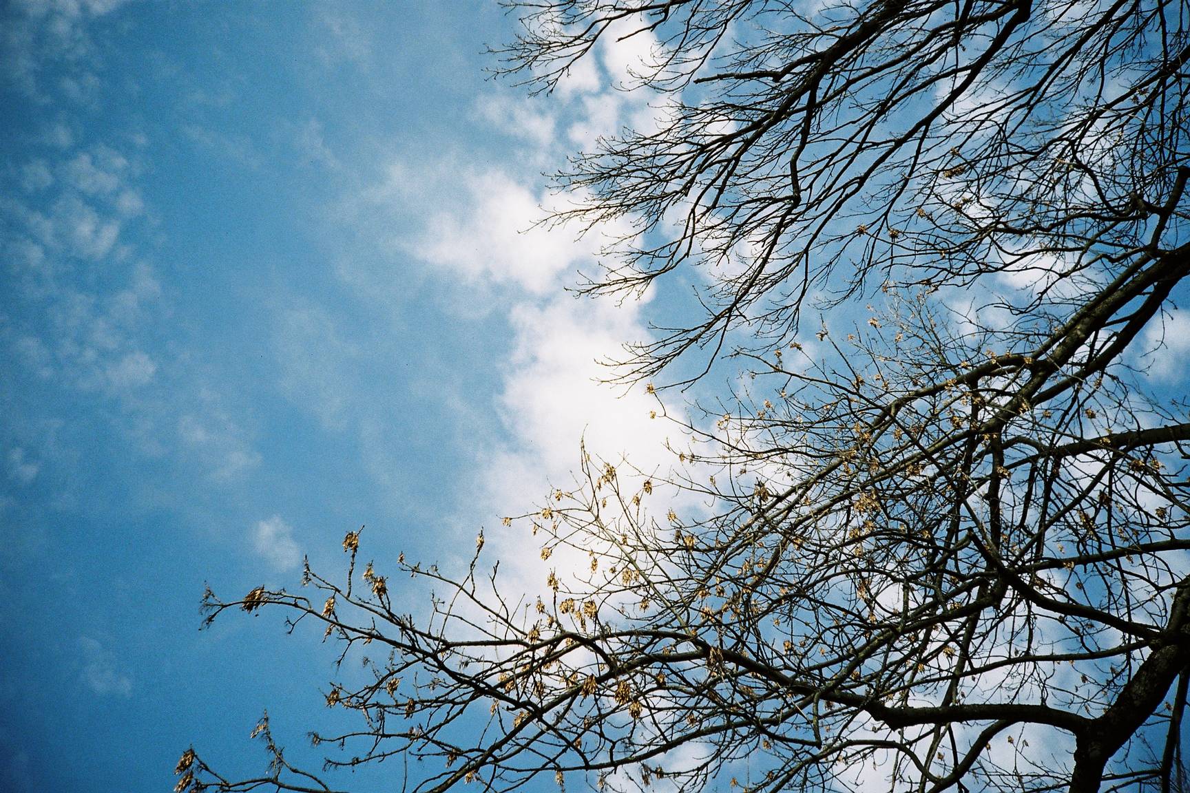 レビュー： LOMO LC-A · Lomography