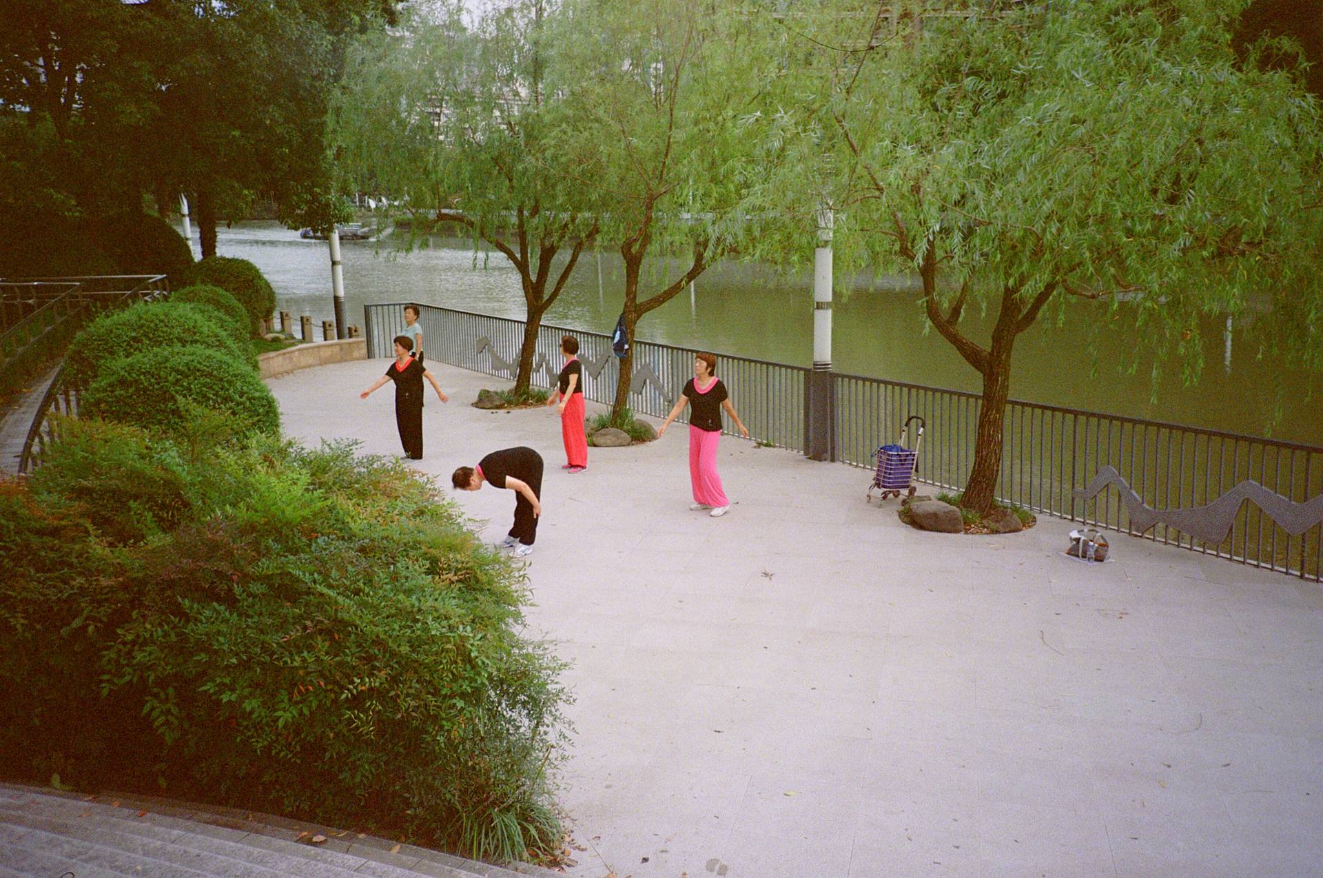 © 科塔萨尔 | 前两张使用 Lomo LC-A+ 胶片相机 & Lomography 135 ISO 400 彩色负片 拍摄，黑白照片使用 Lubitel 166+ 双镜胶片相机拍摄