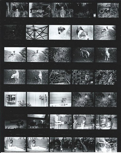 印画紙にはどのような種類がありますか？ · Lomography
