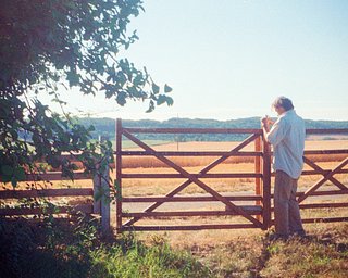 【動作確認済】 POCKET FUJICA 250 H6-0723-8p カメラ: pocket fujica 250 · Lomography