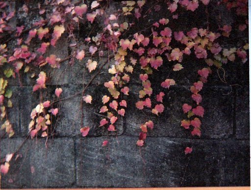 Monday Moodboard: Fall, Foliage, Florilége