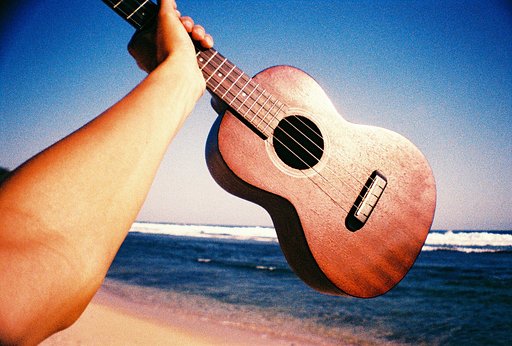 La Sardina：充滿試驗性的廣角相機