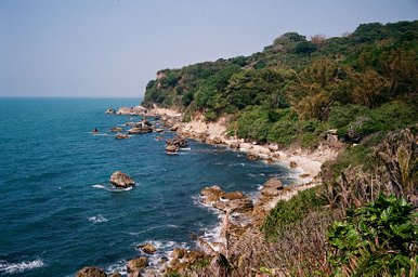 【作例あり】 Yashica Electro 35 CCN WIDE Camera: Yashica Electro 35 CCN · Lomography