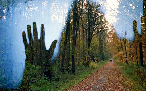When Nature Gets Eerie—A Gallery