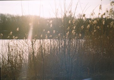 Camera: BELOMO Agat 18K · Lomography