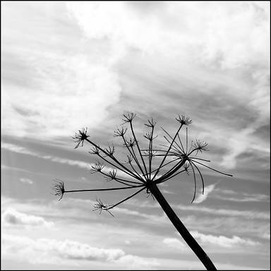 steeveephoto