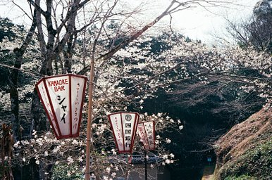 Lens: Konica Hexanon 1:1.6 f=45mm · Lomography