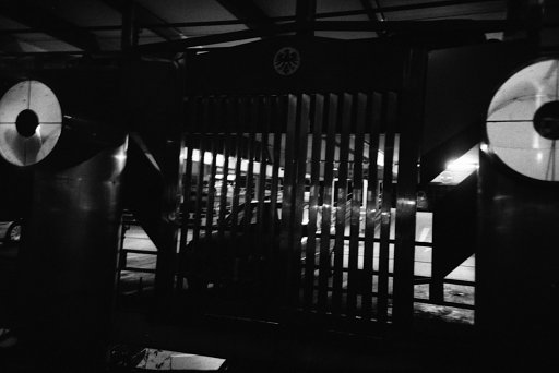 Kodak T-MAX P3200: A Speedy Film