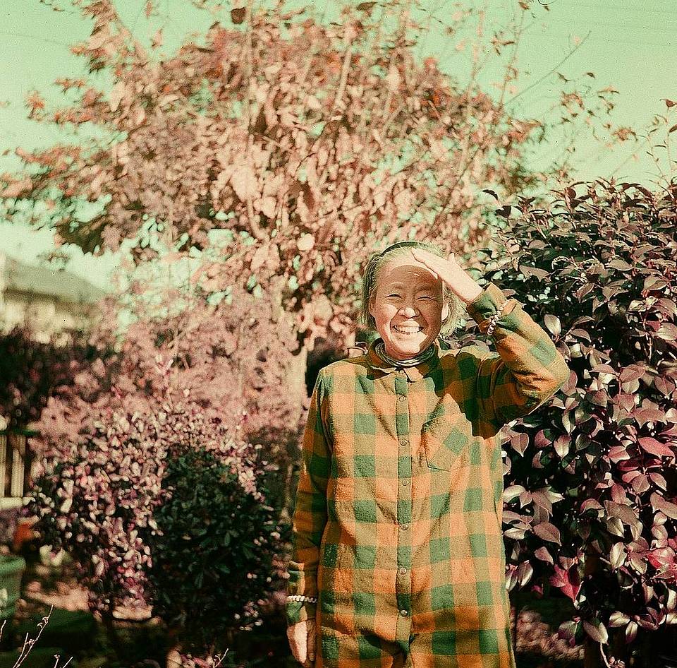由装载紫调负片胶卷的 Lomo Lubitel 166+ 拍摄