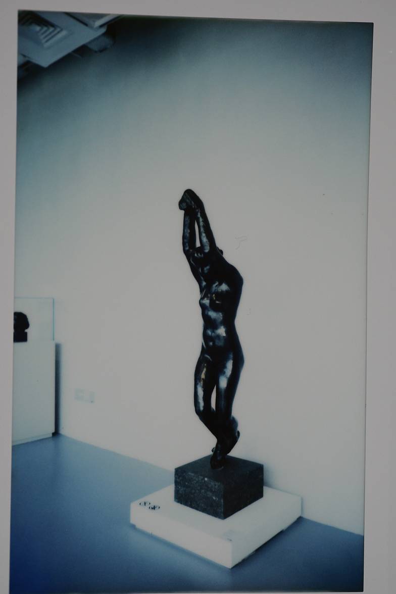 本次拍立得工作坊参与者作品