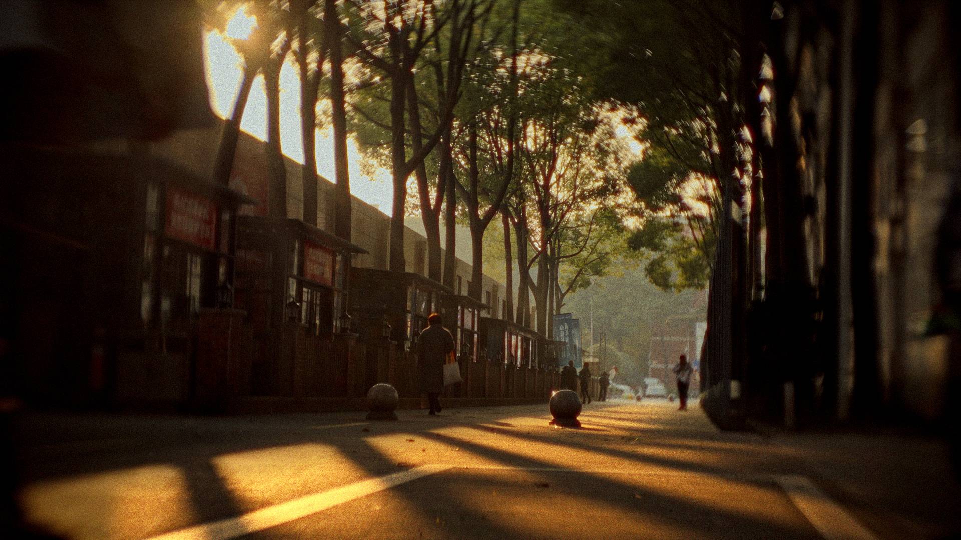 © 小张同学turbo | 使用 Joseph Petzval 匹兹伐 55 f/1.7 联动对焦散景调控艺术镜头 拍摄