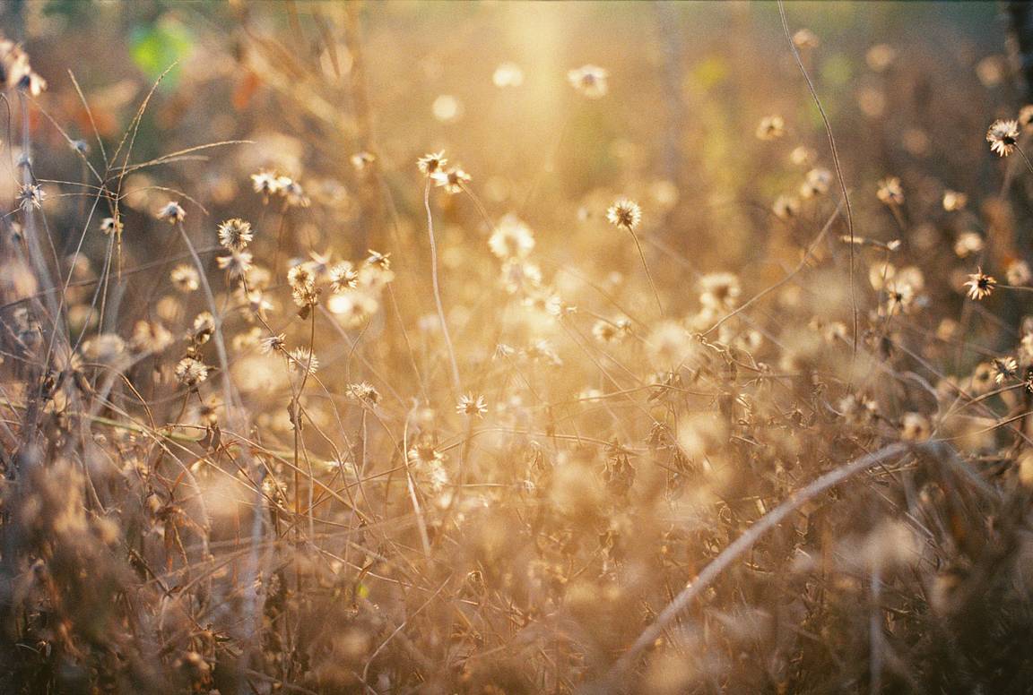Lomography x minimum: Into the Light