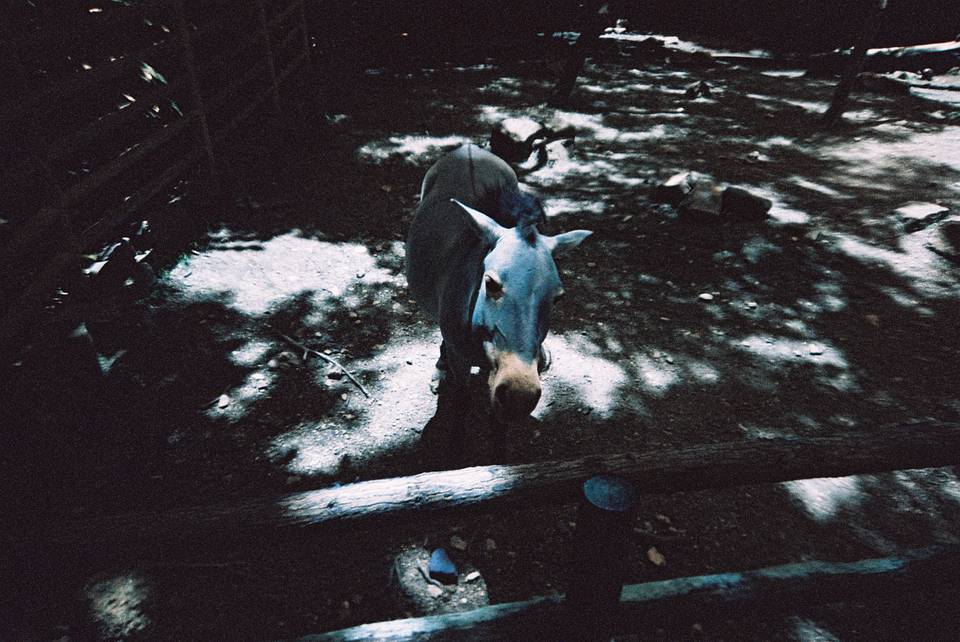 LomoApparat 21mm 阿帕赫超广角胶片相机 + LomoChrome Turquoise XR 100-400 135 绿松石胶卷
