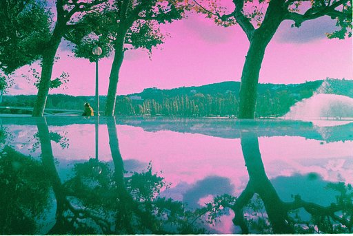 An Upside Down World with Naturally Mirrored Photos by robertofiuza