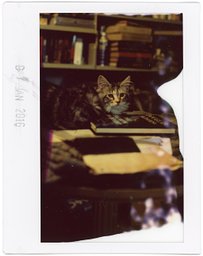 Lens: yashinon 127mm f4.7 · Lomography