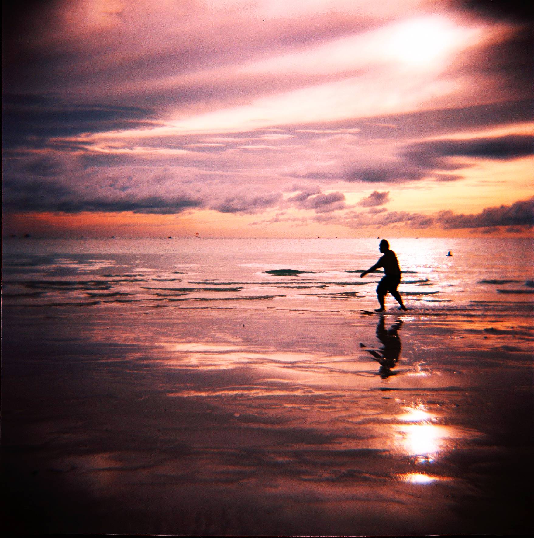 Diana F+ で撮影した私の代表作 · Lomography