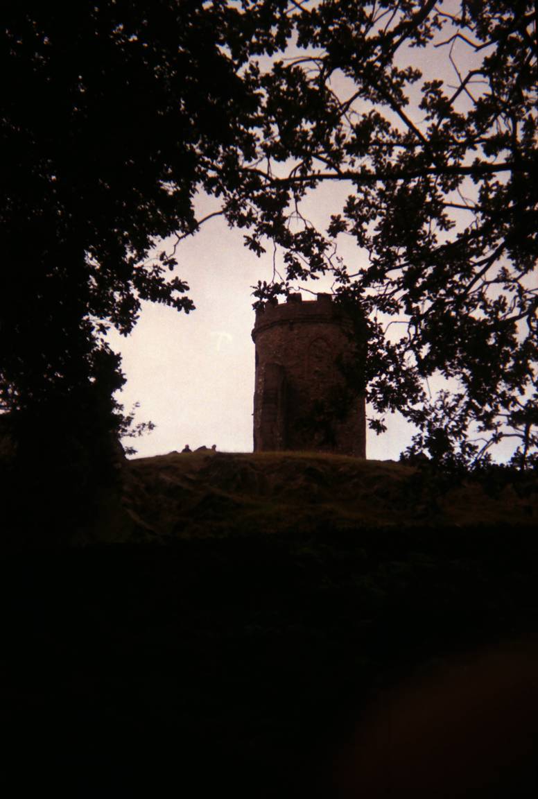 Budweiser Can Camera · Lomography