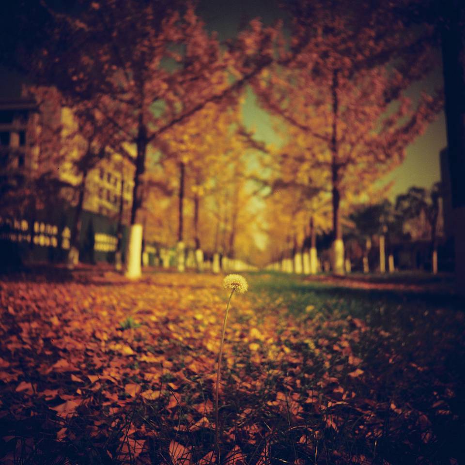 © Hemera | Lomo LC-A 120 胶片相机