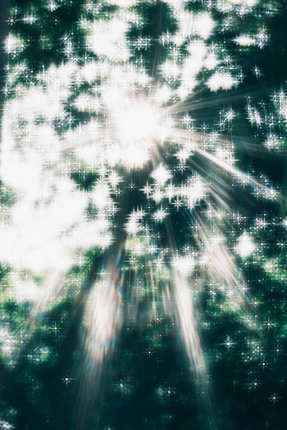 【Daguerreotype Achromat 2.9/64 镜头】摄影师 Libra：希望通过镜头，让人重新发现生活中那些被忽略的美好