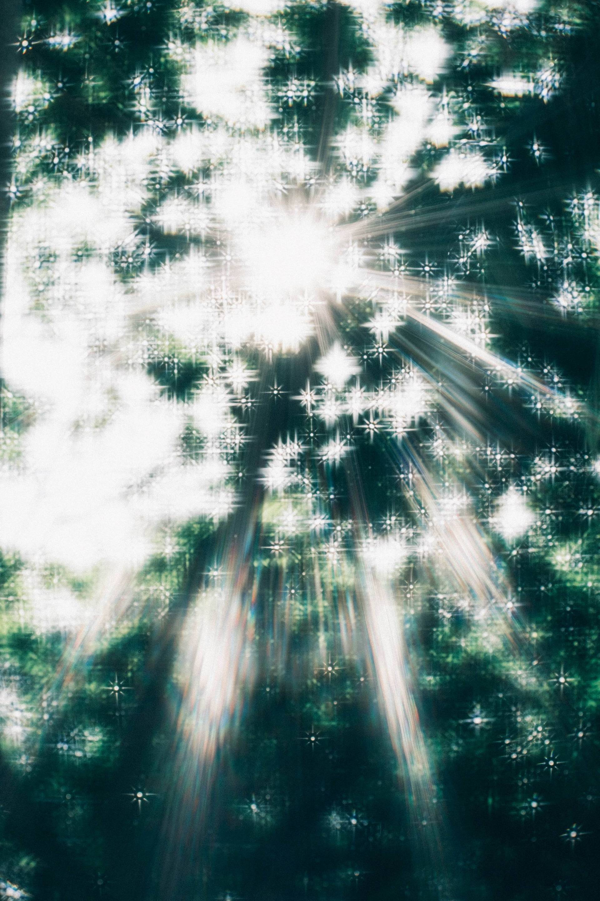 © libra_wong_ch | Daguerreotype Achromat 2.9/64 柔焦镜头