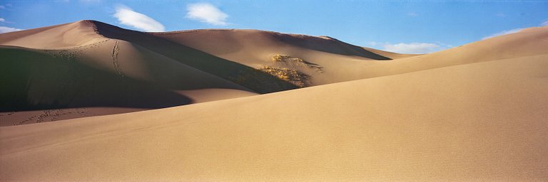 Lens: Fujinon W 125mm f5.6 · Lomography