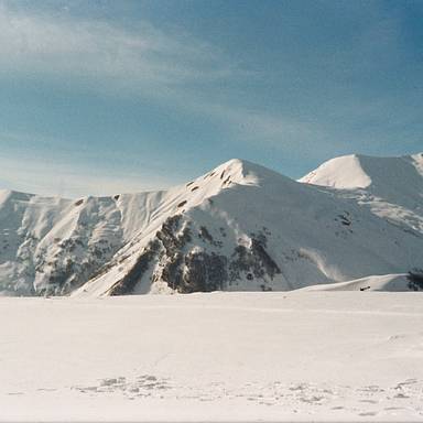 alexandravard