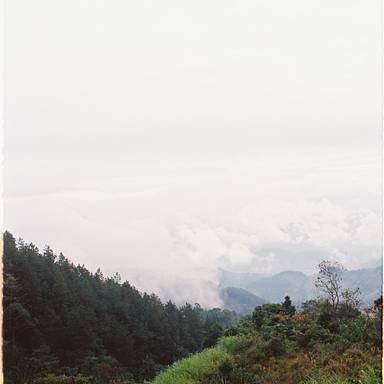 ngocvt