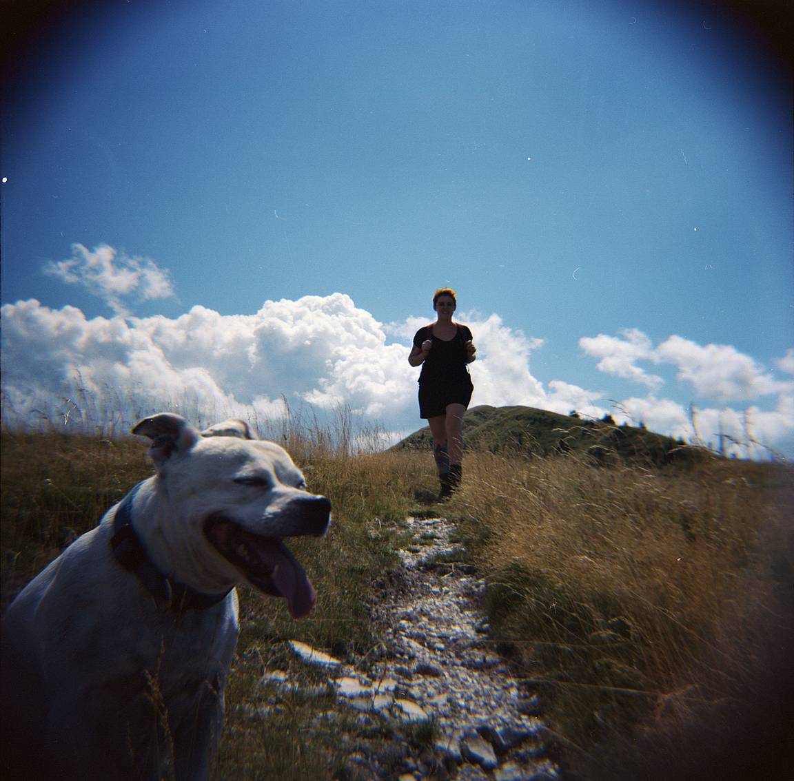 Mountain Adventures