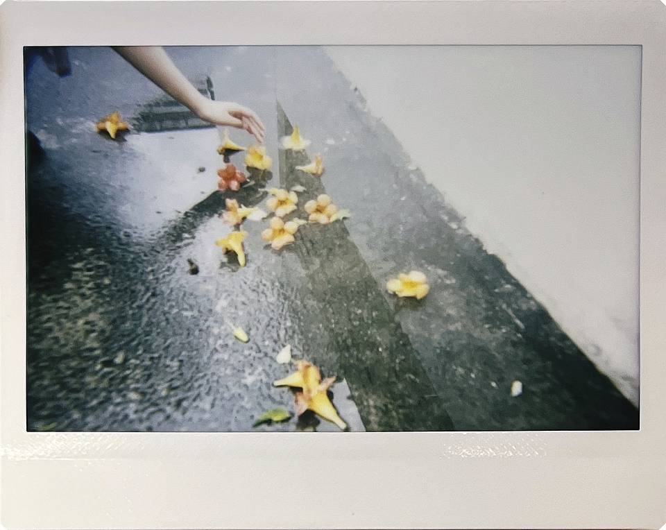 本次拍立得工作坊参与者作品，分别使用 Lomo'Instant Wide 宽幅拍立得相机－William Klein 传奇限量版 、 Lomo'Instant Square 方形拍立得相机套装 - 梦幻庄园版 及 Lomo'Instant Automat 自动拍立得相机－复古红色 拍摄