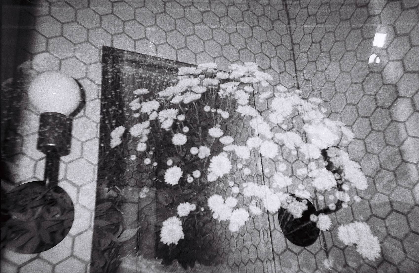 Credits: yamua, fragakis_p, edatopuz, chazz, lomographysoholondon &amp; armantrio