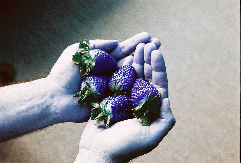 Credits: medium_quality_photos, zphil, duffman, fruchtzwerg_hh, rls &amp; hodachrome